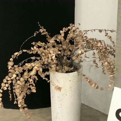 上城FurryQQ群介绍